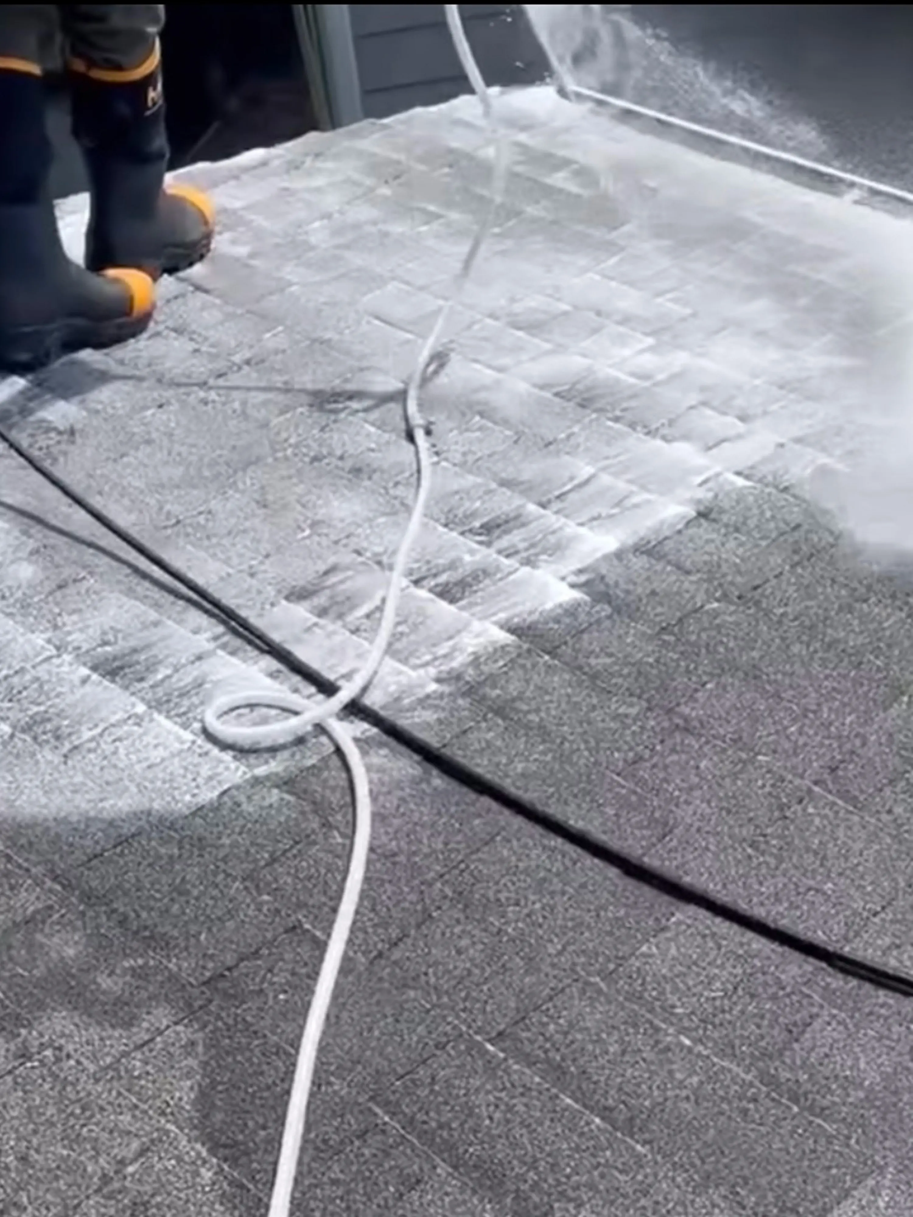 Roof Cleaning